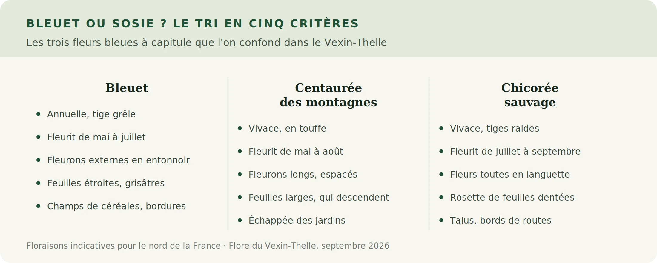 Infographie comparant le bleuet, la centaurée des montagnes et la chicorée sauvage sur cinq critères