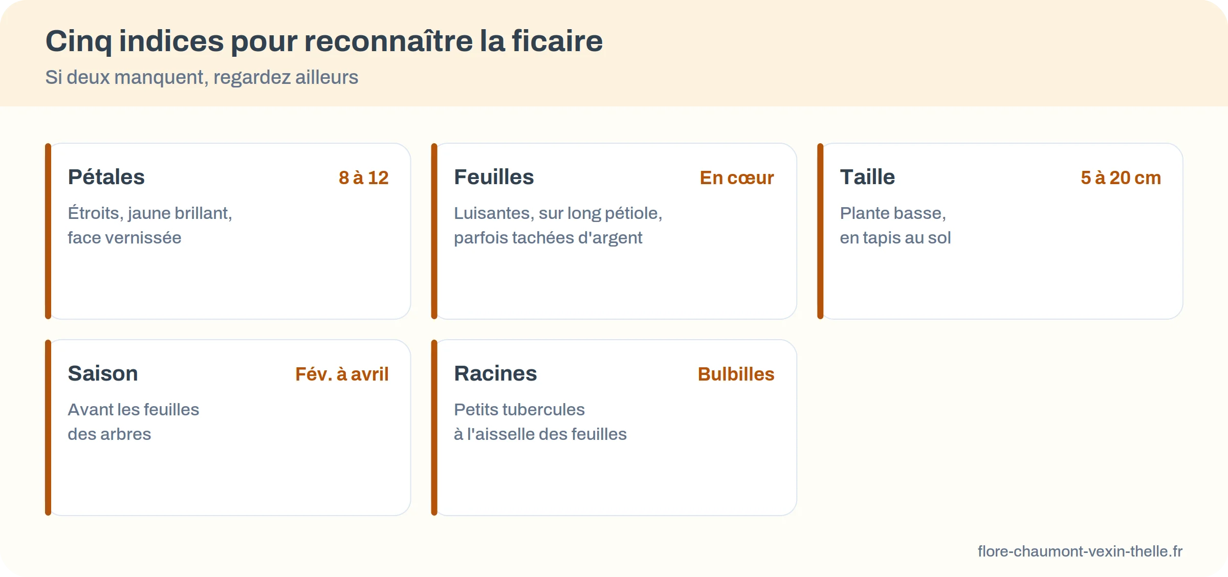 Cartes des cinq indices d'identification de la ficaire : pétales, feuilles, taille, saison, racines