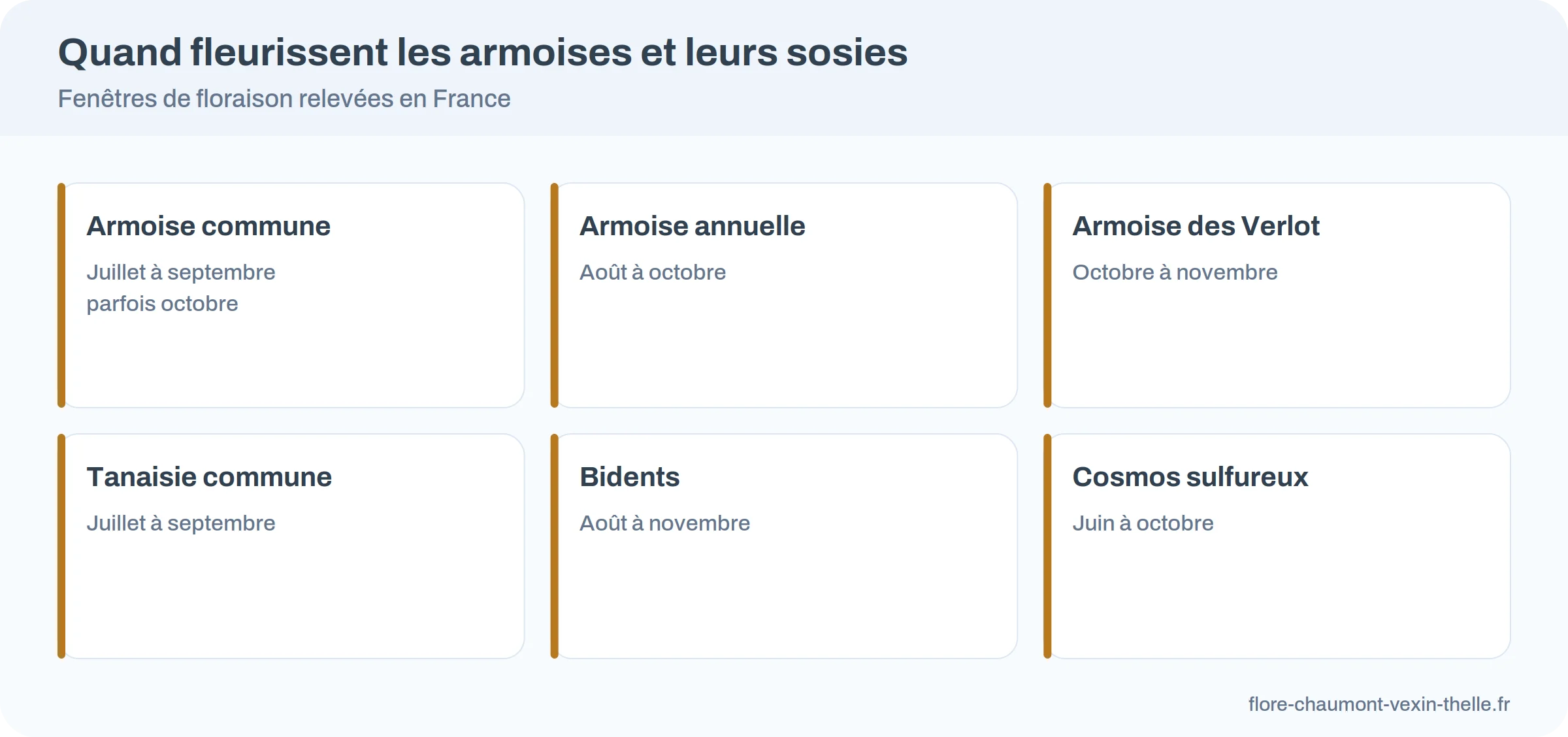 Calendrier de floraison des armoises et plantes jaunes qui leur ressemblent