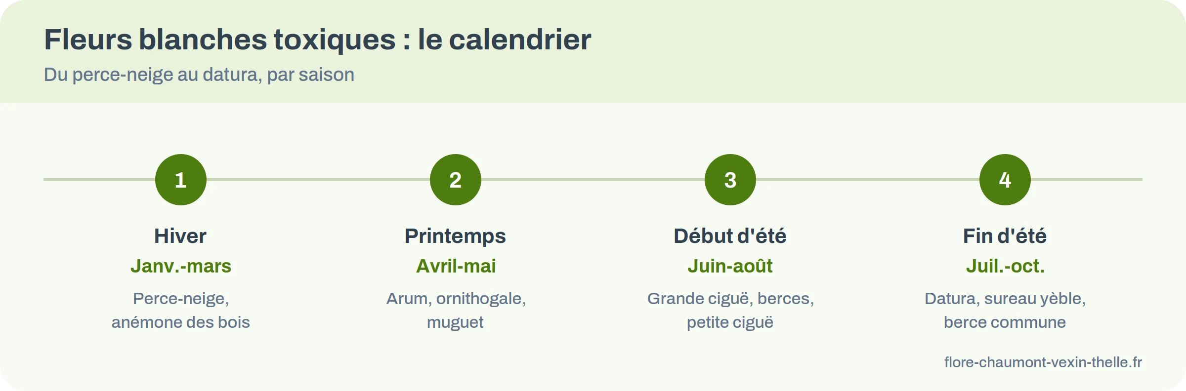 Calendrier des fleurs blanches toxiques du Vexin-Thelle, du perce-neige en janvier au datura en octobre