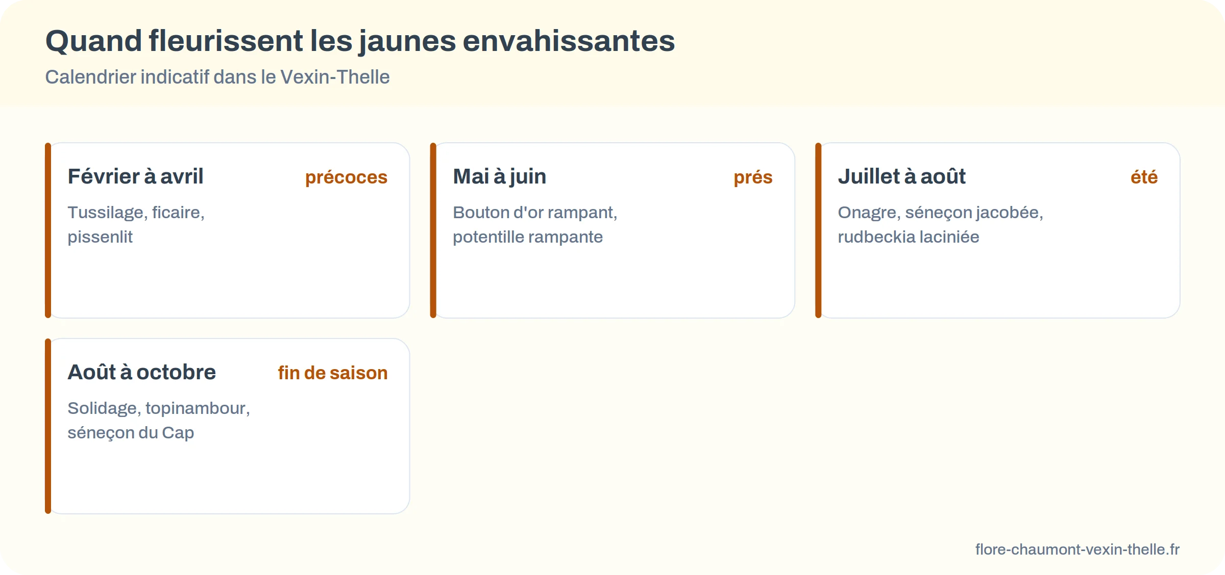 Quand fleurissent les jaunes envahissantes : février à avril, mai à juin, juillet à août, août à octobre